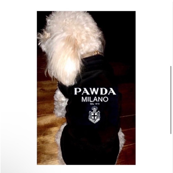 Pawda Milano Dog Tee in Black/ Cat Tee Shirt / Brand New - Picture 7 of 9